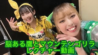 【脳ある鷹とマウンテンゴリラ】の煽りレクチャー動画💚💛