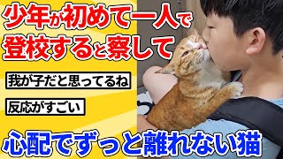 【2ch動物スレ】息子が生まれたときから一緒にいる猫→初めて一人で登校すると気づいた瞬間の反応