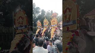 മതിക്കുന്ന് വേല 20/01/2025 #mathikunnuvela #mathikunnutemple #shortvideo #shortfeed #youtubeshorts