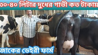 ৩০লিটার থেকে ৪০ লিটার দুধের গাভী জাকের ডেইরী ফার্ম দাম কত কিভাবে নিতে পারবেন জানুন বিস্তারিতDairy