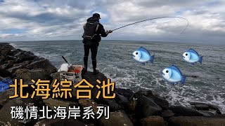 小朋友才做選擇，得天獨厚的地理條件，造就北海特殊魚情（磯情北海岸系列EP3)