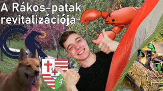 A Rákos-patak revitalizációja