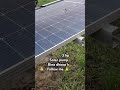 bina dhoop k 3hp solarpump solarfarm daily shot video solar solution solarpumping solarfarm