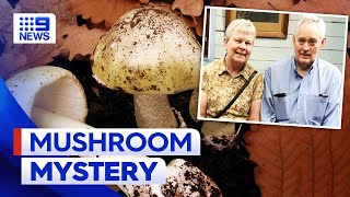Homicide detectives investigate suspected wild mushroom poisoning in Victoria | 9 News Australia