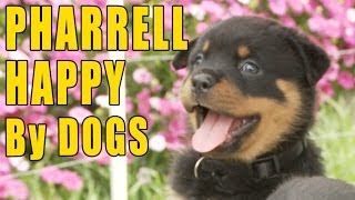 Pharrell - Happy (Puppy \u0026 Doggy Version)