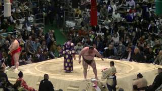 臥牙丸-阿武咲/2017.3.17(41)/gagamaru-onosho/day6 #sumo