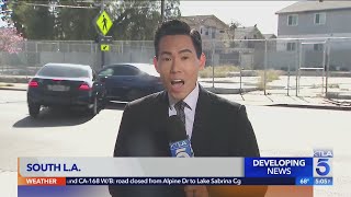 KTLA reporter talking about deadly hit-and-run is interrupted by car wreck