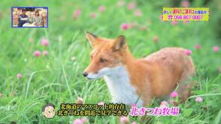 『北海道花物語り4日間』2017年4月22日（土）テレビ放送 Vol.554