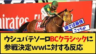 【競馬】「ウシュバテソーロBCクラシックに参戦決定ｗｗ」に対する反応【反応集】