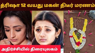 Shocking ||Actress Trisha son passed away| திரிஷாவுக்கு நடந்த துயரம் |Vidamuyarchi |Kushboo zoro