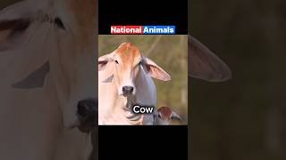 10 countries ke National Animals #shortsfacts #shorts #national #animals