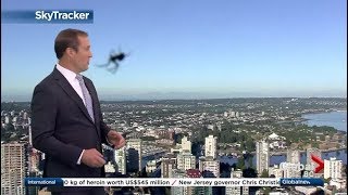 Weather anchor surprised by spider