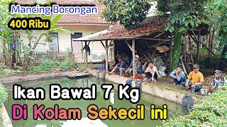 Begini Jadinya, Mancing Ikan Induk Dikolam Kecil | Mancing Borongan