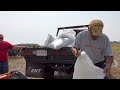 the canadian bison whisperer sustainable farming conservation and the legacy of bison