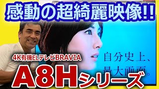 感動の超綺麗映像!! 4K有機ELテレビBRAVIA「A8Hシリーズ」店頭展示しました!!