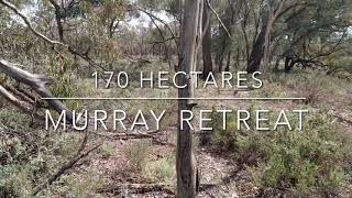 Property for sale: Murray Retreat - emus, rare parrots and magnificent trees