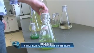The real reason why Olympic pools changed colors