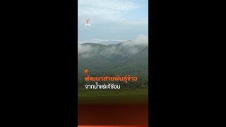 พัฒนาสายพันธุ์ข้าวจากน้ำแร่แจ้ซ้อน | Thai PBS News