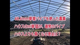 48.6mm単管パイプを使った農業ハウスの㎡単価が、通常のパイプハウスよりも高くなる理由は？　1日1本 156本目