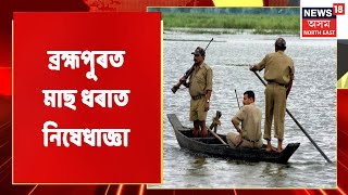 Biswanath News | সংকটত বিশ্বনাথৰ শ শ মাছমৰীয়া