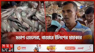 ভরা মৌসুমে ইলিশ গেল কই? | Chandpur News | Ilish Fish | Somoy TV