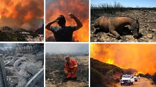 Fires in Sardinia: 20,000 hectares of vegetation ravaged, July 25, 2021