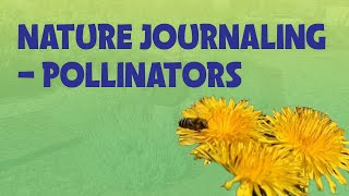 Nature Journaling- Pollinators