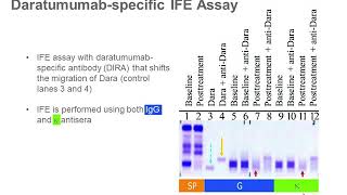 Interferences in Protein Electrophoresis