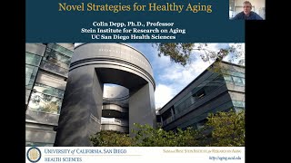 Novel Strategies for Healthy Aging with Colin Depp, Ph.D.