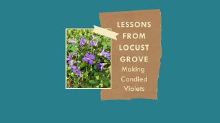 Lessons from Locust Grove: How to Make Candied Violets