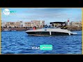 شاهد. سمكة قرش تهاجـم سياح في مرسى علم اليوم وتقـ.تل واحد في مصر اليوم shark attack egypt marsa alam