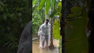 ഒരിക്കലും ഇങ്ങനെ പ്രേധിക്ഷിച്ചില്ല 🥹🥹‼️#viral #trendingshorts#mallu