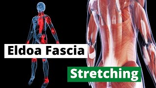 Eldoa Fascia Streching for Sprinter - Flexibility and Pain Reliev