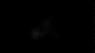 Action Essentials 2 - Flashes