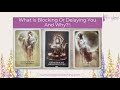 ✨️What Is Blocking Or Delaying You And Why?! 🫨🔮 Pick A Card Reading 🌟