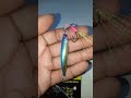 micro jig untuk jigging #shorts #shortvideo