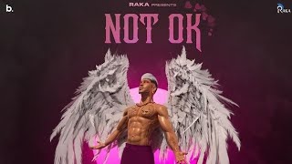 Not Ok - Raka ( Song) Meavin | Rajan Bir | New Punjabi Song 2024