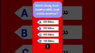 ఏనుగు యొక్క రెండు దంతాలు కలిసి ఎంత బరువు ఉంటాయి?