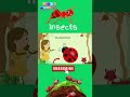 Insects for Kids  | What are Insects ? | #insects #educationalvideos #forkids