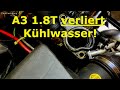 Audi A3 1.8T verliert Kühlwasser...Wasserflansch undicht! Neues Thermostat. #inkontinent