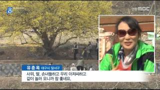 [안동MBC뉴스]R]의성 산수유축제 시작.. 2만 인파 모여