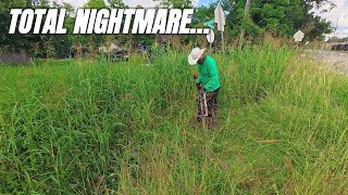 Her Yardman Never Returned… We Found Out Why The Hard Way