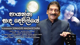 Payanna Sanda Dewliye | පායන්න සඳ දෙව්ලියේ | විශාරද සෝමසිරි මැදගෙදර | Official Music Video