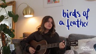 Birds of a Feather - Billie Eilish | Cover by Jodie Mellor