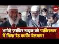 Fugitive Zakir Naik को Pakistan में Red Carpet Welcome | NIA की नजर, पाकिस्तान का समर्थन?