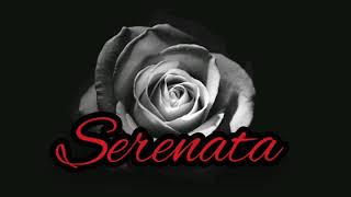 Serenata Korçare 2020 (Kolazh Live) - Saimir BAHJA