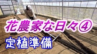 花農家　定植準備