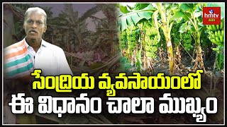 సేంద్రియ వ్యవసాయంలో ఈ విధానం చాలా ముఖ్యం | hmtv Agri