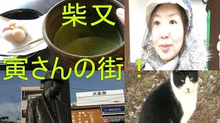 柴又帝釈天をぶらり途中下車の旅。寅さんの街【地味さんぽ】tokyo japan walk sibamata