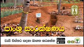 පාංශු සංරක්ෂණය